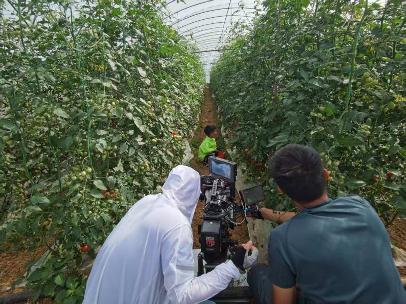 玉树市产品宣传视频拍摄公司进阶指南，助力品牌抢占传播高地